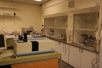IMG 3738
